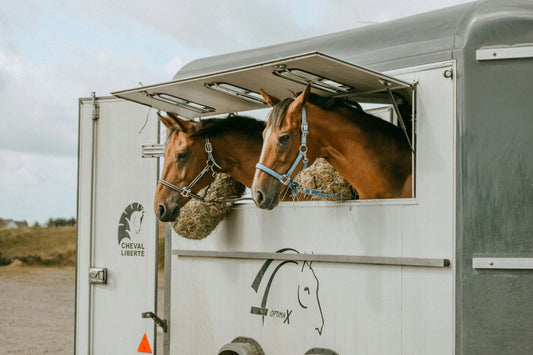 Comment habituer un cheval au transport pour réduire son stress